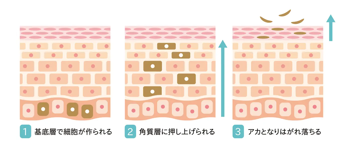 シミ・そばかす・くすみにお悩みの方